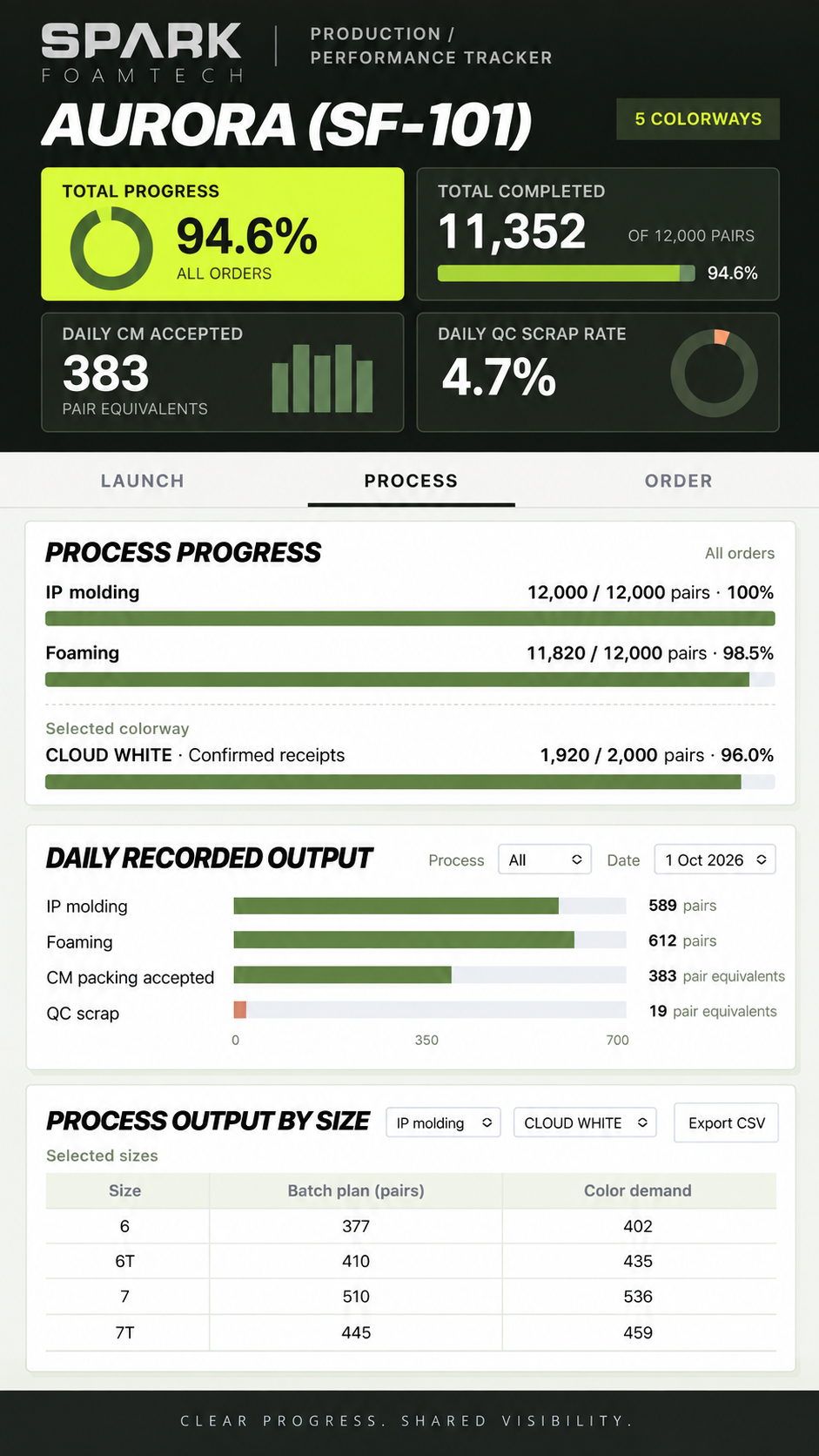 AURORA SF-101 illustrative dashboard: total progress, completed output, process progress and size-level planning